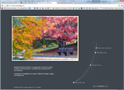 Photographers Website Design