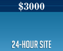 Website in 24hrs 300 USD