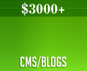 Content Management Systems and Blogs 400 USD