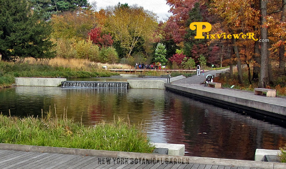 Fordham Bronx Webdesign