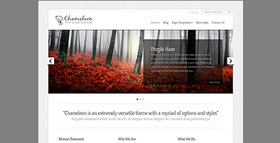 Chameleon theme