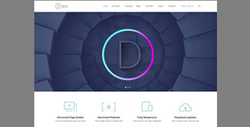 Divi theme