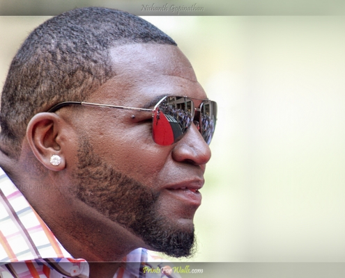 Big-Papi-David-Ortiz Pixviewer Photos