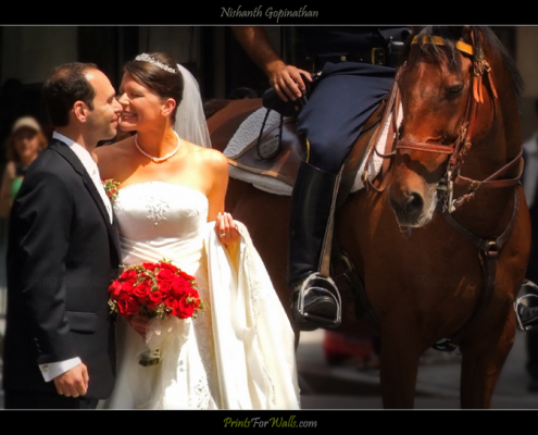 NYC Wedding Pixviewer Photos