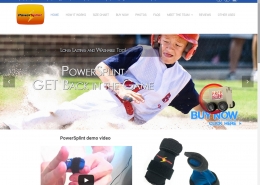 PowerSplint Wordpress eCommerce Store
